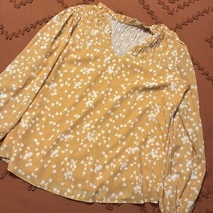 Women’s Dress Shirt